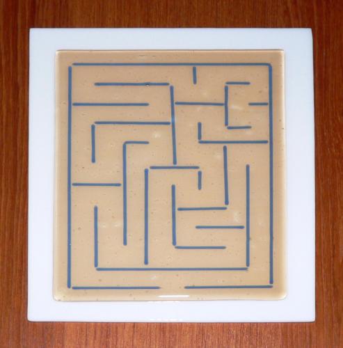 Maze